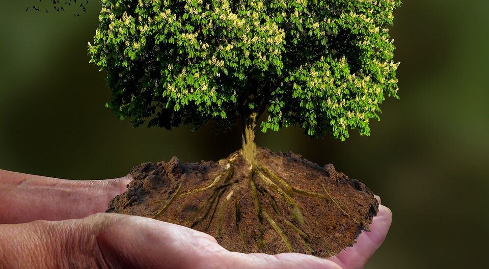 CO₂-Bilanz in Kindertageseinrichtungen